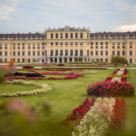 Vídeň: ZOO a zámek Schönbrunn (info)